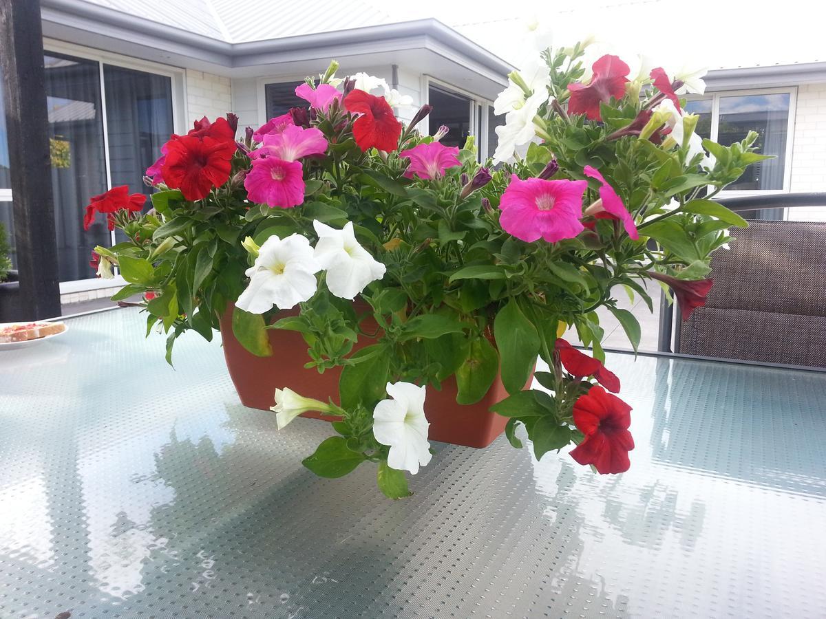 Courtenay B & B Kaiapoi Buitenkant foto